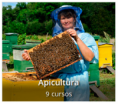 Cursos na área Apicultura